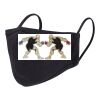 Reusable 2 Layer Face Mask Thumbnail