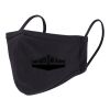 Reusable 2 Layer Face Mask Thumbnail