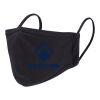 Reusable 2 Layer Face Mask Thumbnail