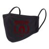 Reusable 2 Layer Face Mask Thumbnail