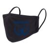 Reusable 2 Layer Face Mask Thumbnail